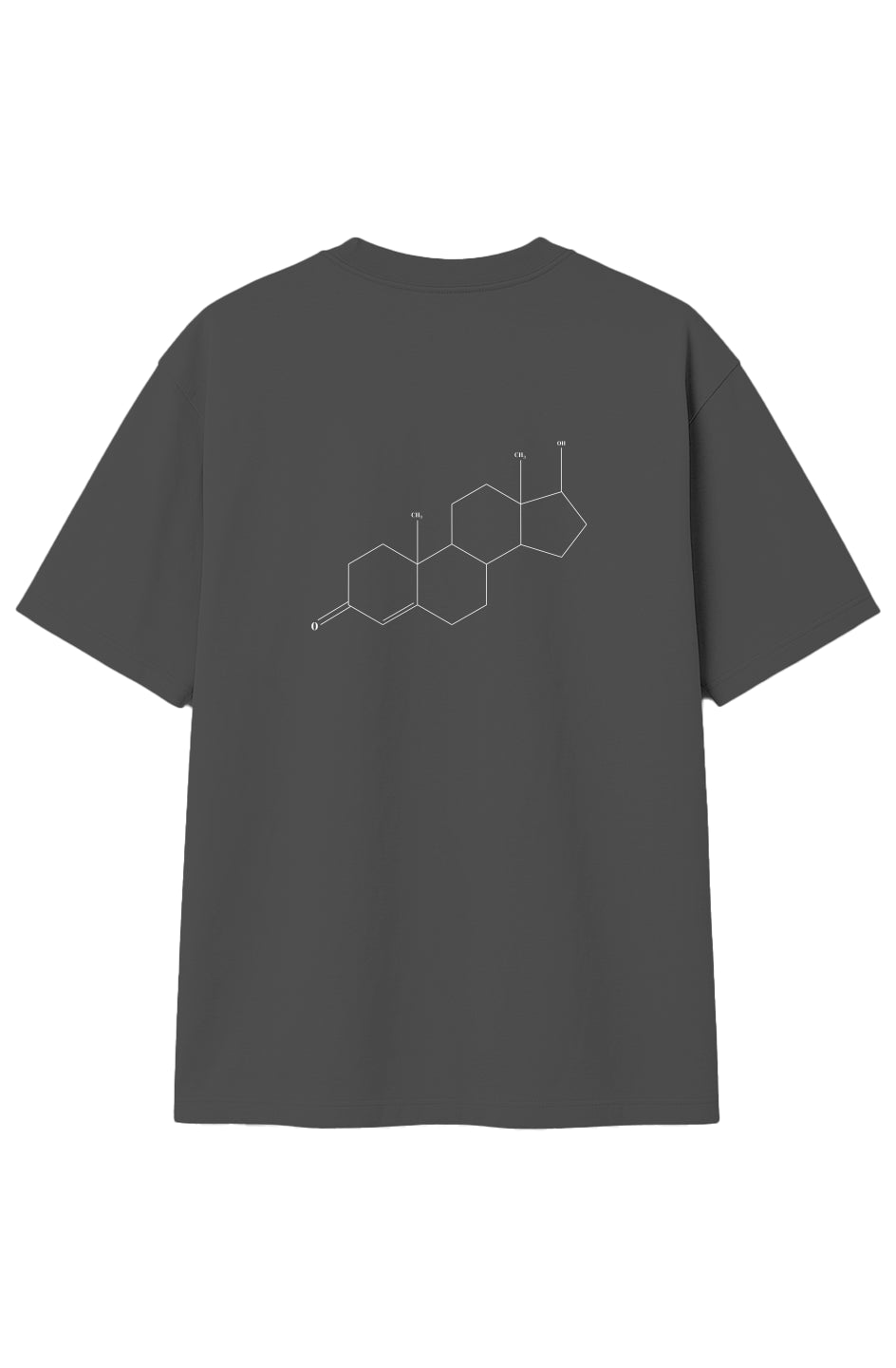 SHRED(DED) TESTOSTERONE CHEMICAL STRUCTURE OVERSIZED T-Shirt