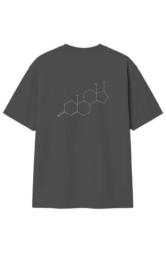 SHRED(DED) TESTOSTERONE CHEMICAL STRUCTURE OVERSIZED T-Shirt