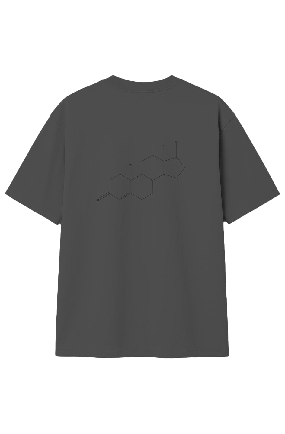 SHRED(DED) TESTOSTERONE CHEMICAL STRUCTURE OVERSIZED T-Shirt