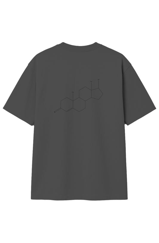 SHRED(DED) TESTOSTERONE CHEMICAL STRUCTURE OVERSIZED T-Shirt